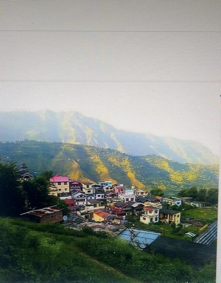 देहरादून : भूधंसाव से हुए नुकसान का आकलन करने के लिए टीम लखवाड़ पहुंची।