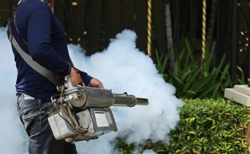 Fogging and spraying of insecticides started to combat dengue