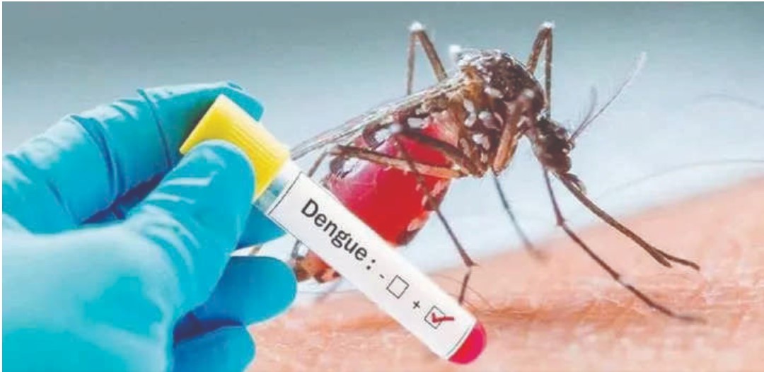 Deploying officers for dengue control campaign in 24 most dengue affected wards