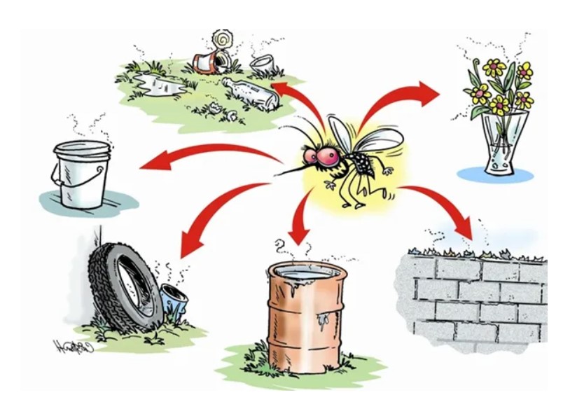 Made people aware about dengue