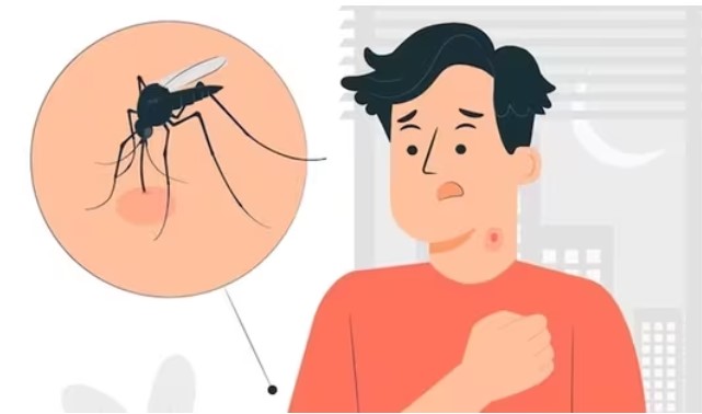 Feedback taken from public on increasing cases of dengue