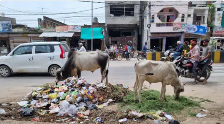 Major cleanliness campaign will run for one hour on Sunday from 10 am to 11 am