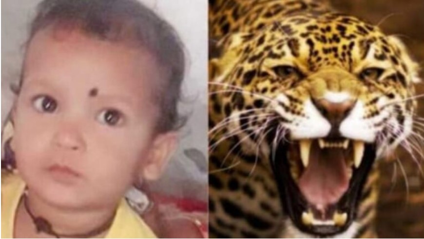 Three year old innocent became victim of henchman