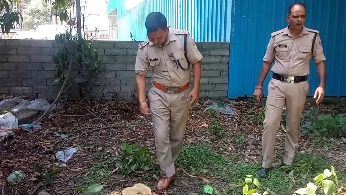 Thieves cut sandalwood trees standing in the courtyard of Additional SP