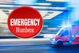 Now tempo drivers will have to write traffic incharge and emergency number on the glass