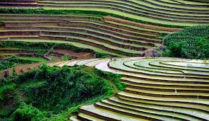 Hindi Chetna Month inaugurated at Institute of Soil and Water Conservation