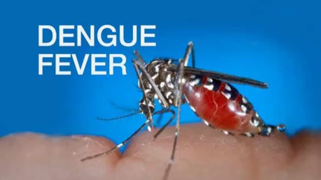 The number of dengue patients is increasing in the state.