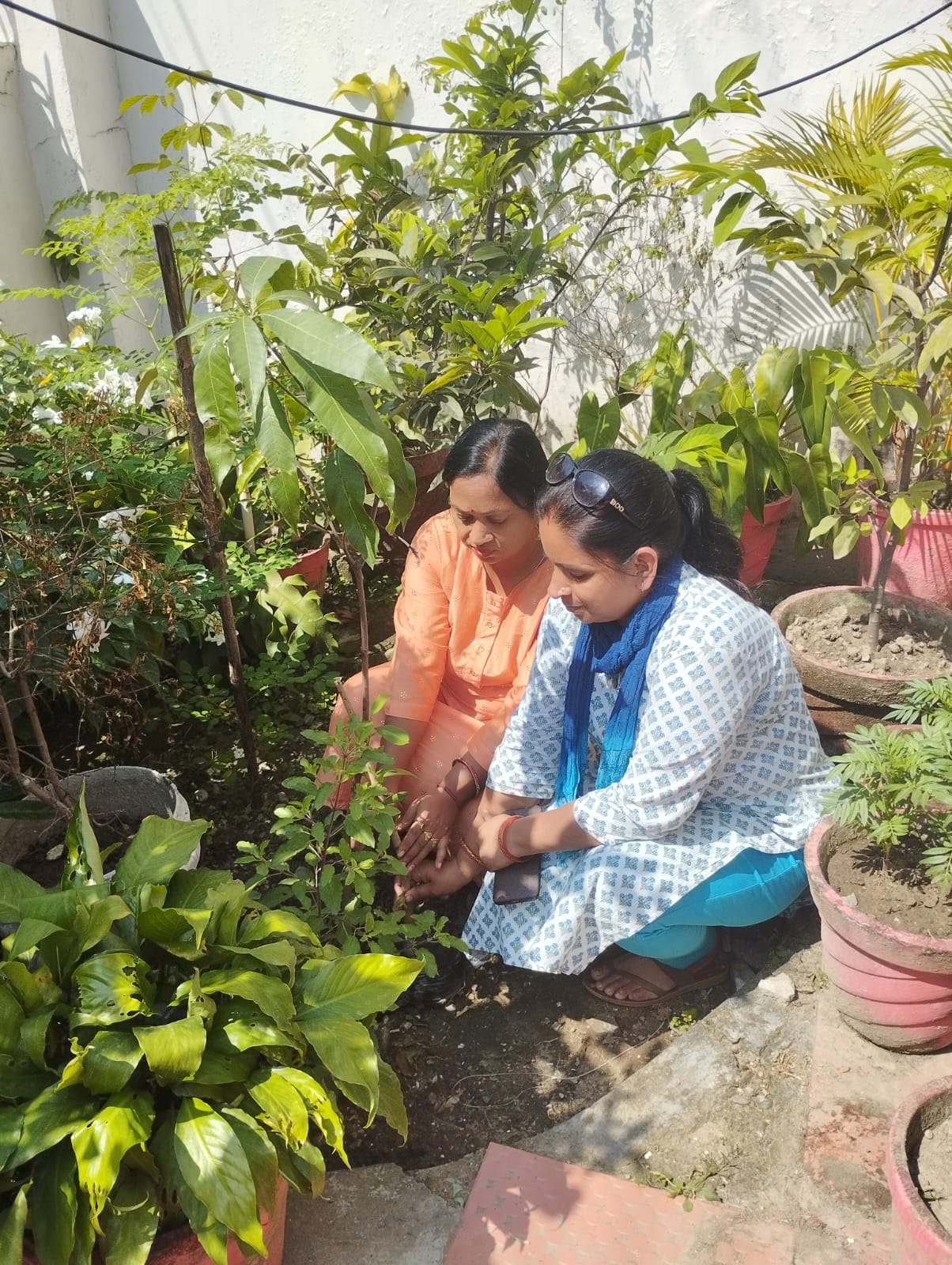 Welfare Society planted saplings in Vijay Park