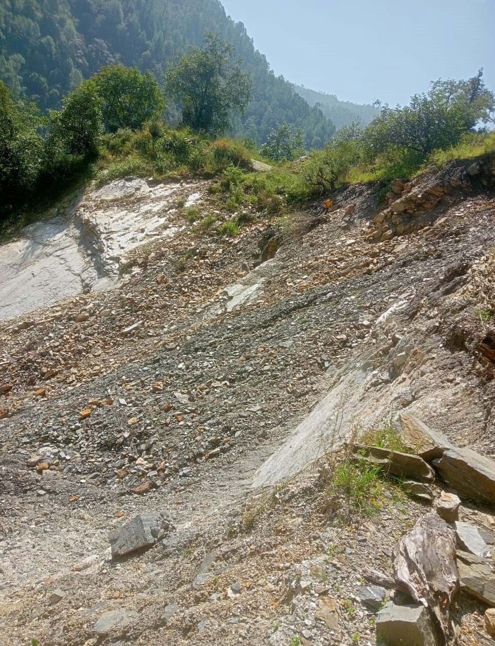 How will potatoes reach the market without roads? Farmers' hopes will rot due to lack of roads.