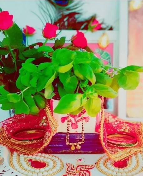 Tulsi marriage concluded in Haridwar on Devuthani Ekadashi
