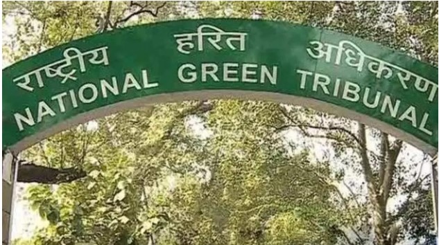 PCB's sleep broken due to NGT's strictness, action against 67 hotels
