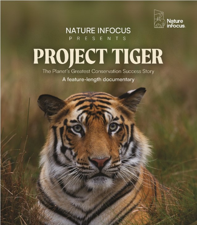 Nature InFocus launches production project Tiger