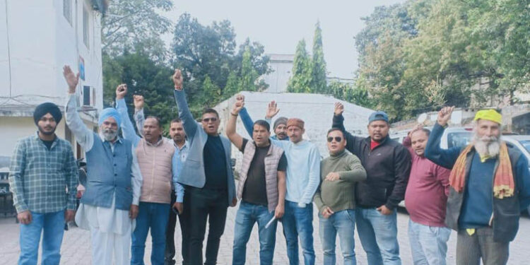 Demonstration held to get rid of stray animals