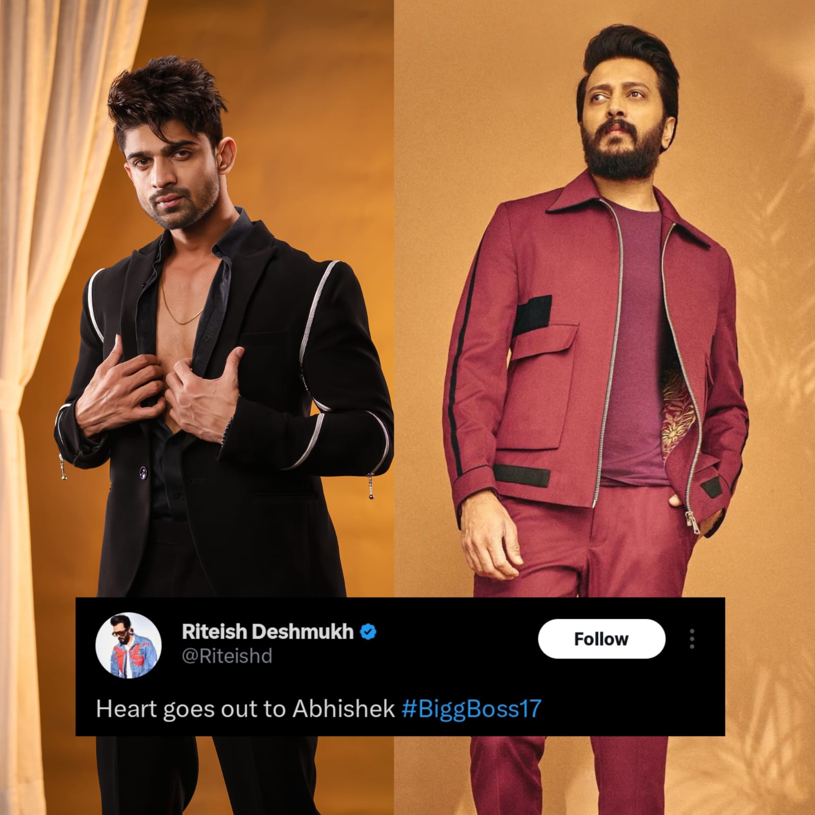 Ritesh Deshmukh came out in support of his brother
