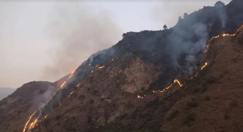 A massive fire broke out in the forests of Tuni